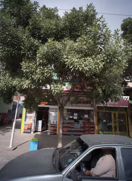 عکس سوپر تک در شهید مطهری شمالی مشهد