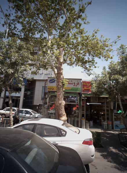عکس فروشگاه میثاق در عامل مشهد