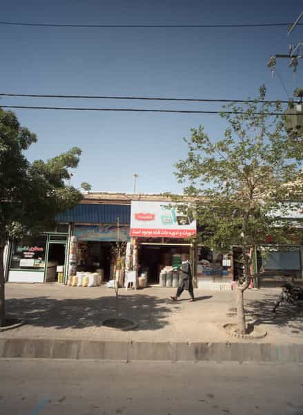 عکس پخش برنج ثامن در شیرودی مشهد