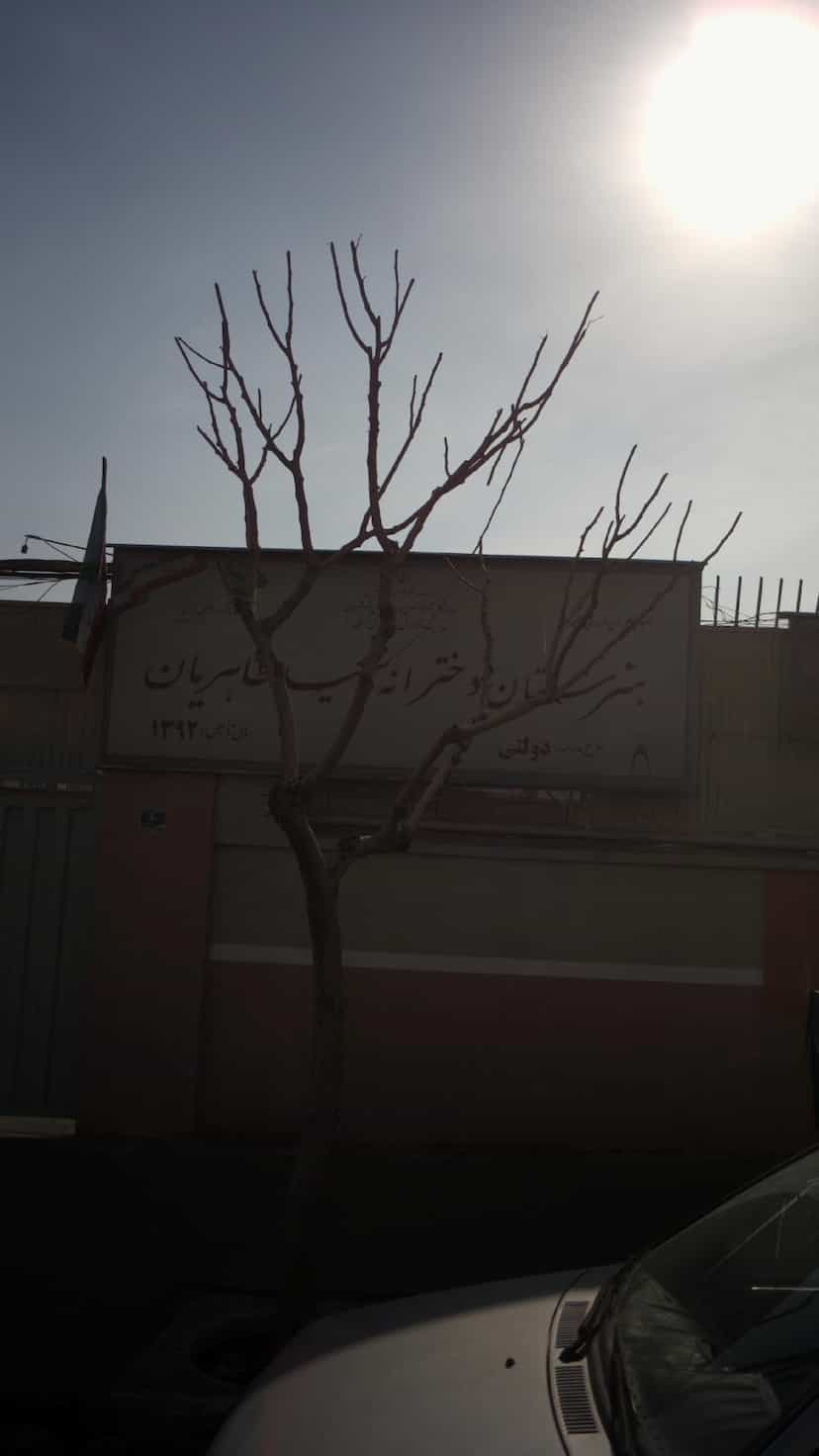 عکس هنرستان دخترانه شهید طاهریان شهرک هواپیمائی تهران