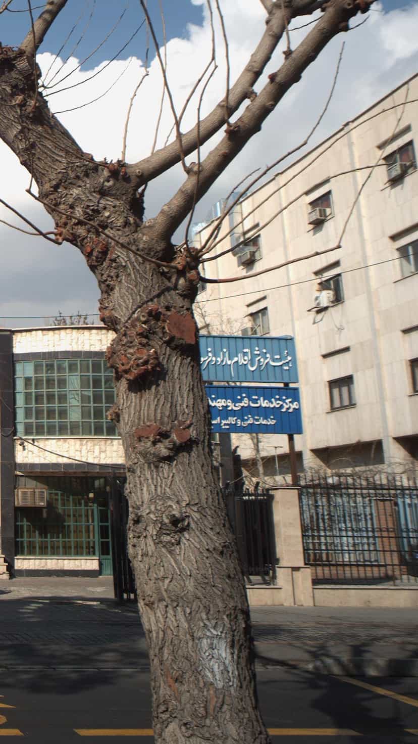 عکس هیئت فروش اقلان مازاد و فرسوده نهاجا در نیرو هوایی تهران