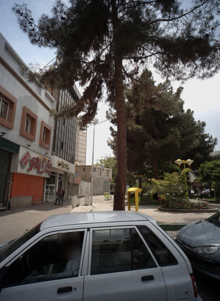 عکس خانه کتاب وکیل در سناباد مشهد