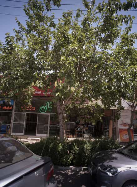 عکس فروشگاه صنایع دستی در رضاشهر مشهد