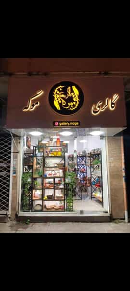 عکس گالری موگه شهرک گلها رشت