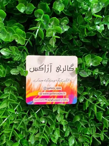 عکس گالری آژاکس در رشتیان رشت