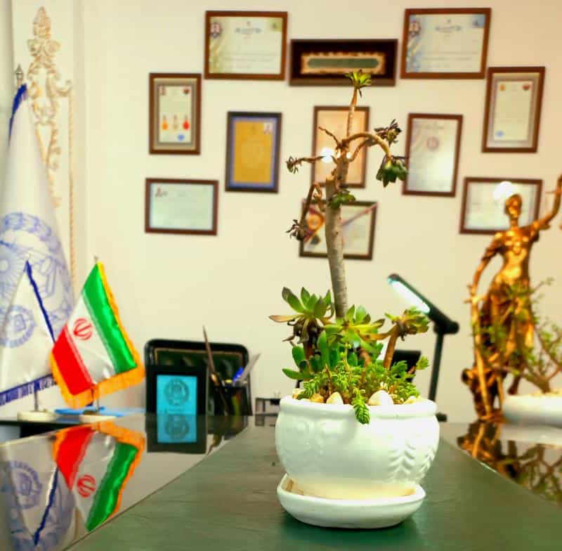 عکس حسین گودرزی