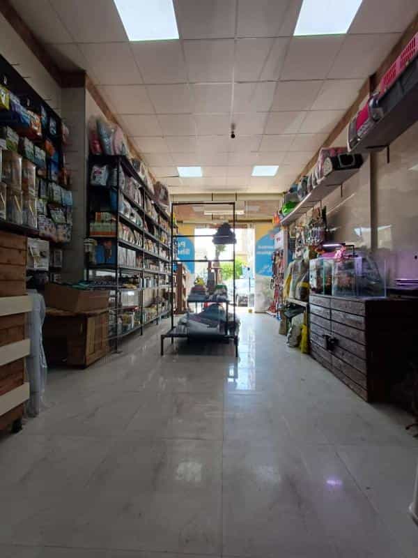 عکس آکواریوم و پت شاپ چشم انداز آبی