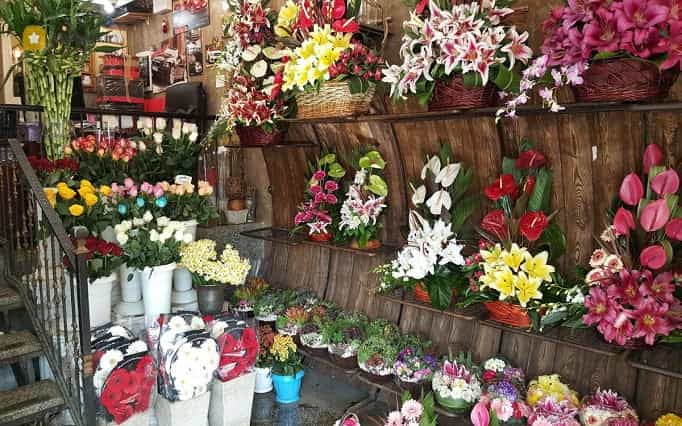 عکس گلفروشی گیاکادو