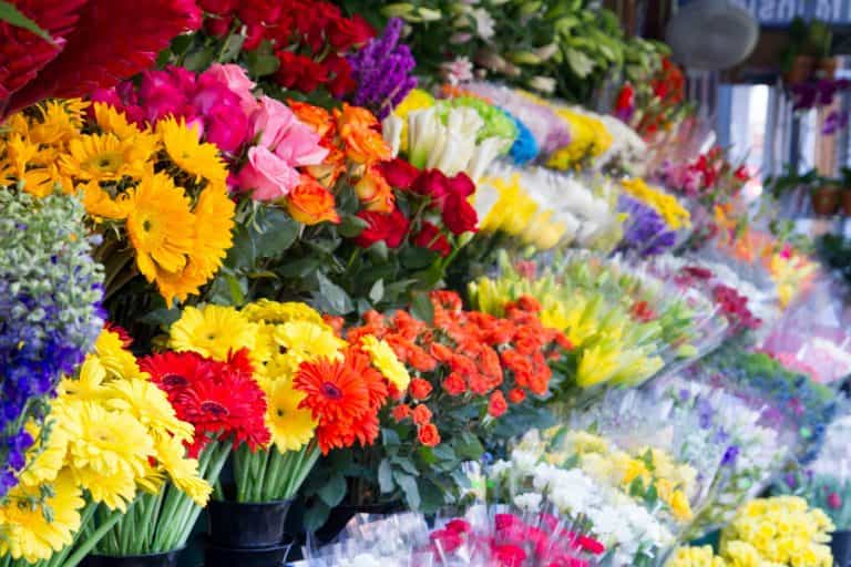 عکس گلفروشی گیاکادو