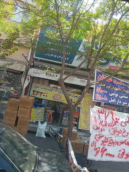 عکس سوپر برادران نصیری در باغچه شاهی کاشان