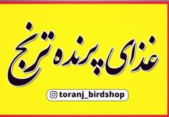 عکس خوراک پرنده ترنج در مصلی سبزوار