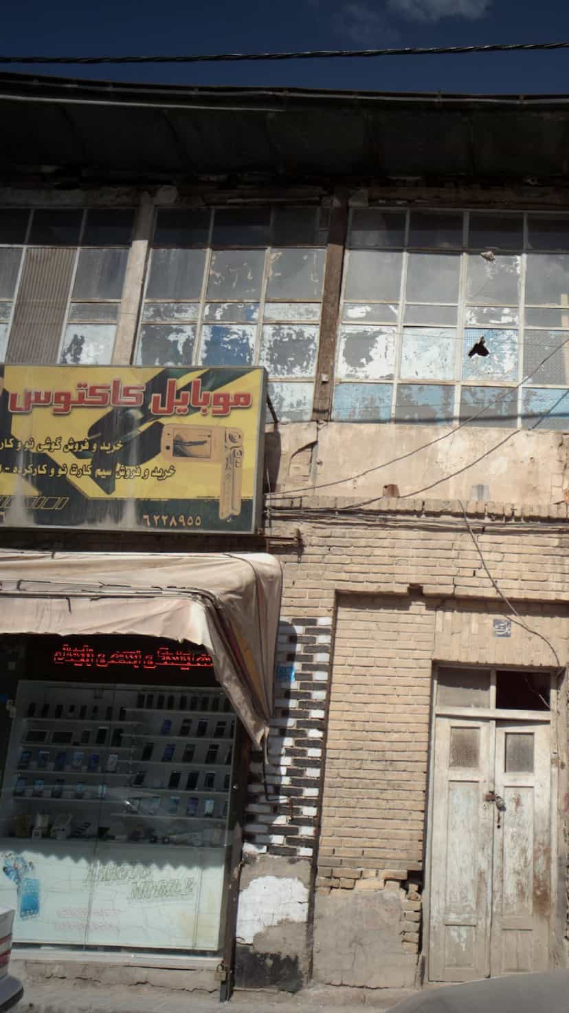 عکس موبایل کاکتوس در گلستان فیروزکوه