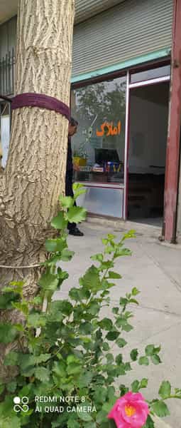 عکس املاک کلتپه در شهر بوکان