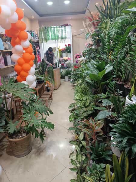 عکس گلفروشی ژیوار در جوادیه گرگان