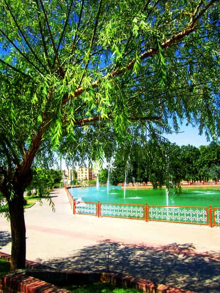 عکس بوستان سیفیه در پاسداران ملایر