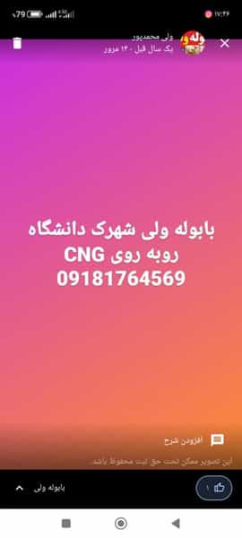 عکس ساندویچی ولی در شهر سقز