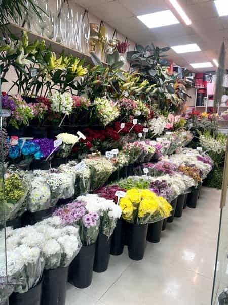 عکس گل فروشی افشین در صیاد شیرازی گرگان