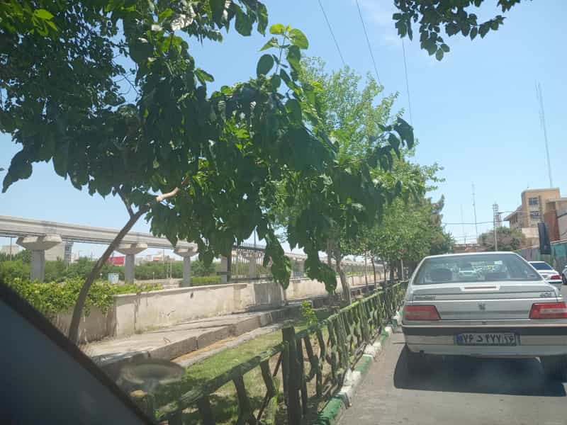 عکس بوستان هفت تیر در قدس اندیمشک