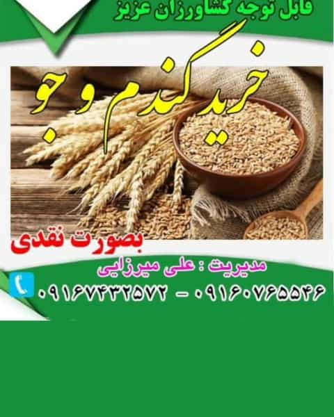 عکس بازرگانی حبوبات و غلات میرزایی الیگودرز در جمهوری اسلامی الیگودرز