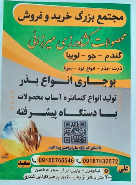 عکس بازرگانی حبوبات و غلات میرزایی الیگودرز در جمهوری اسلامی الیگودرز