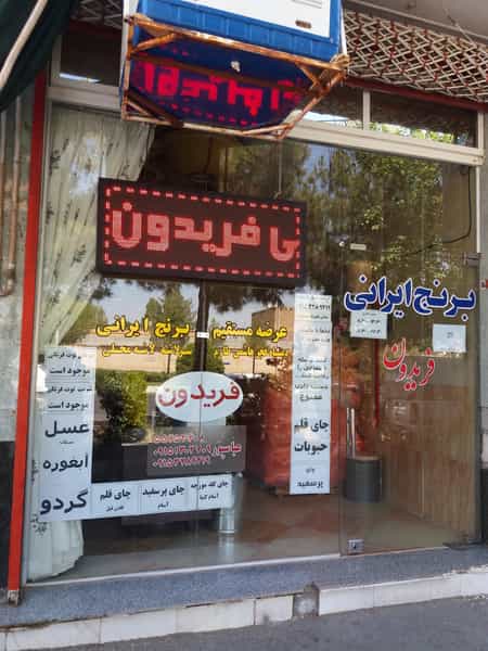 عکس برنج ایرانی فریدون در آزادگان کاشمر