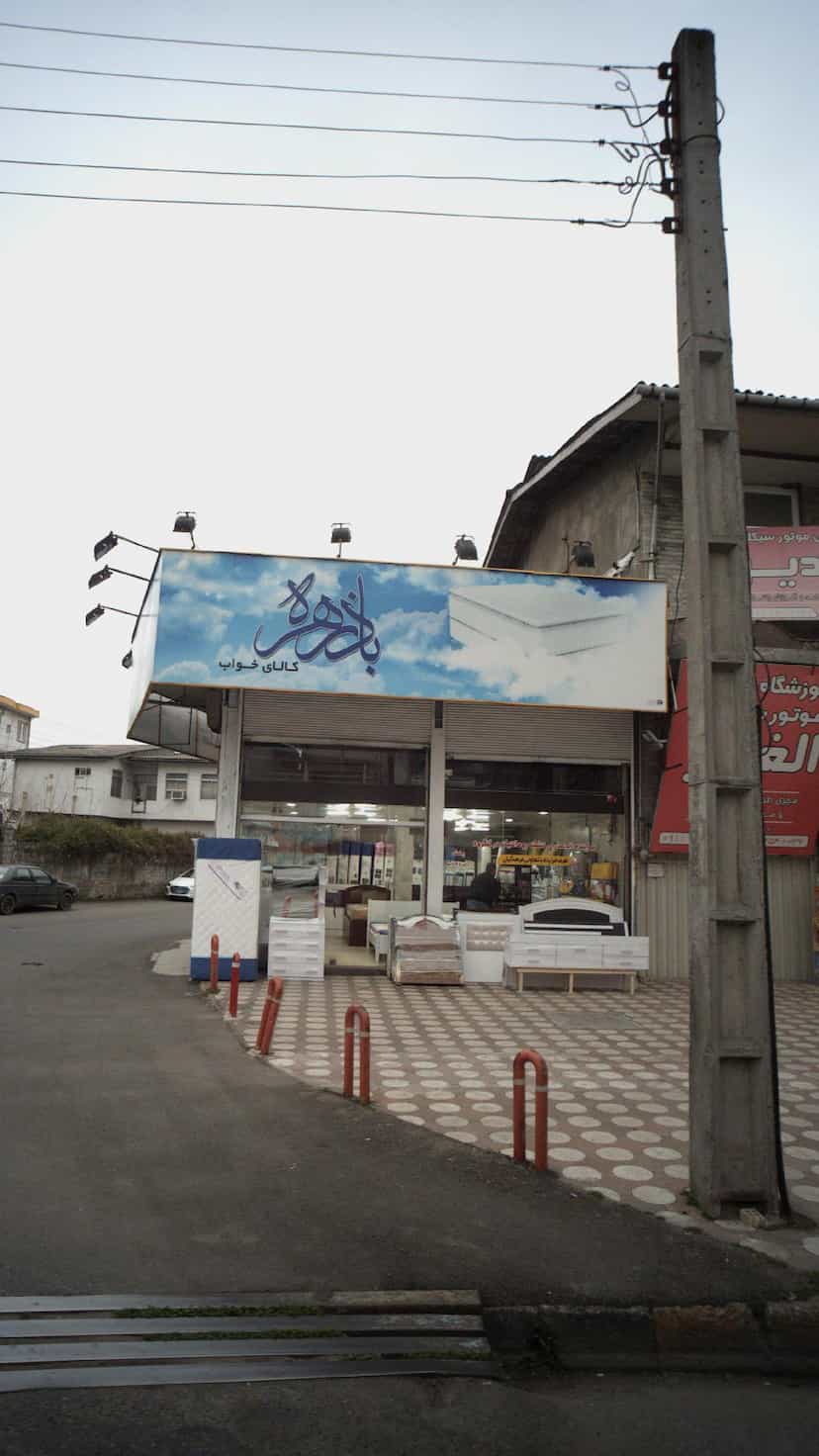 عکس کالای خواب باد زهره در پارک بازار لنگرود