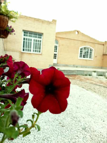 عکس دبیرستان دخترانه حبل المتین در شهر کاشمر