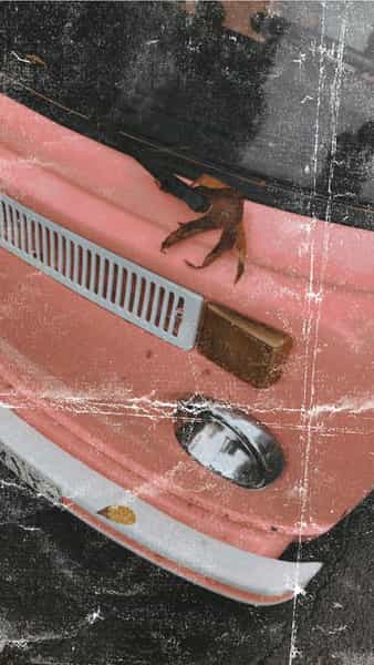 عکس کافه یرما در قاضی آباد لواسان