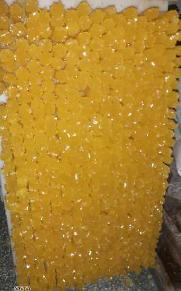 عکس نبات و آب نبات ریزی رضا در پلیس راه بیرجند