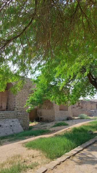 عکس بوستان هرمزان در شاه نجف شوشتر