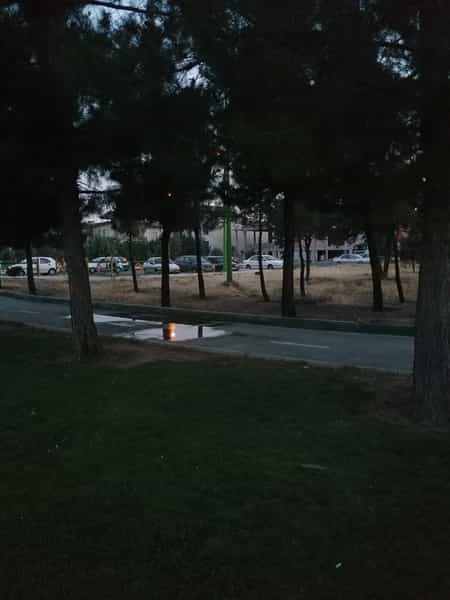 عکس بوستان حافظ در فاز ۳ اندیشه اندیشه