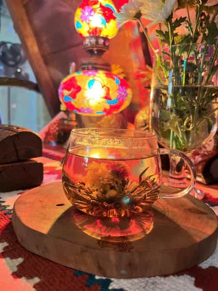 عکس کافه کاکاتو در فاز ۴ اندیشه اندیشه