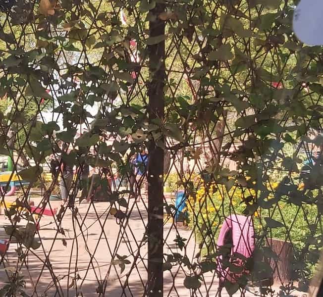 عکس پارک در کارگر آبادان