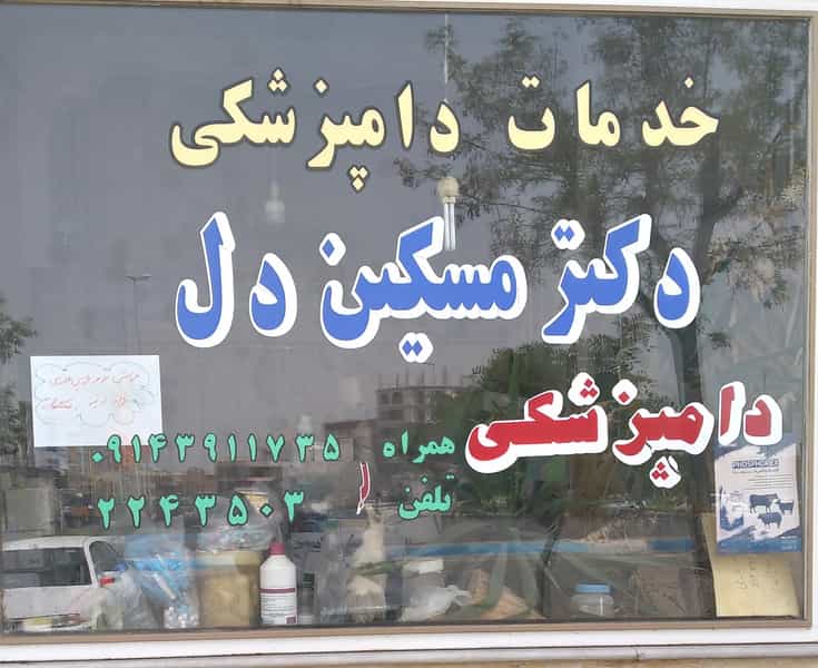عکس دفاترخدمات دامپزشکی دکتر مسگین دل در مسجد قیام مرند