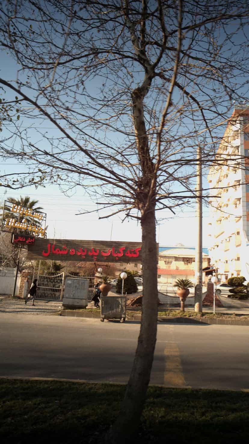 عکس کته کباب پدیده شمال در فرودگاه نوشهر