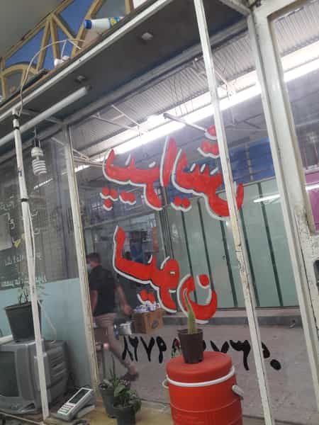 عکس پیرایش لیون در دریا نوشهر