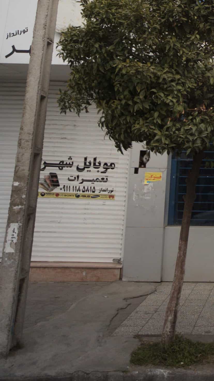 عکس موبایل شهر در ایزدی فریدون‌کنار