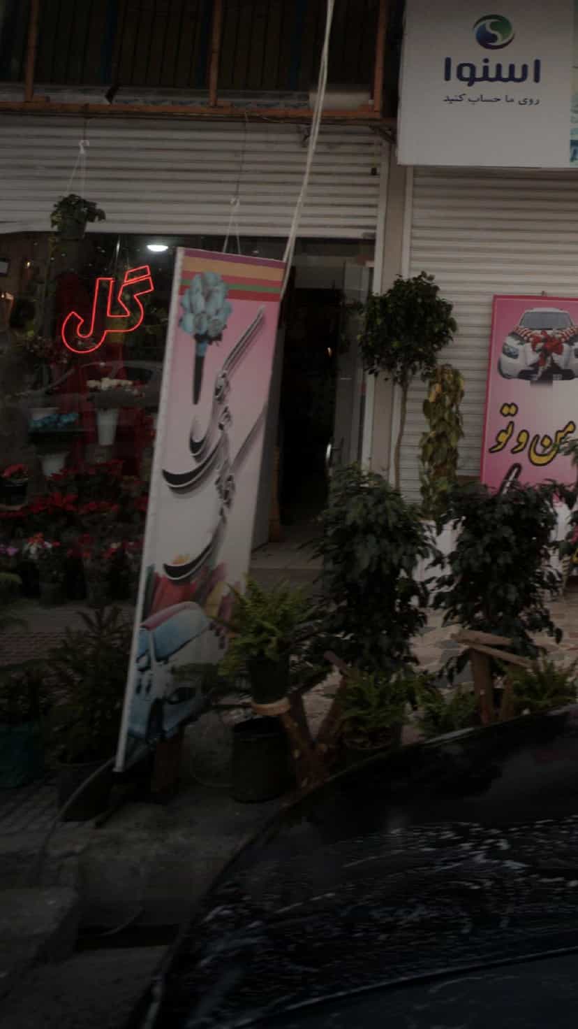 عکس گل من وتو در صیادان فریدون‌کنار