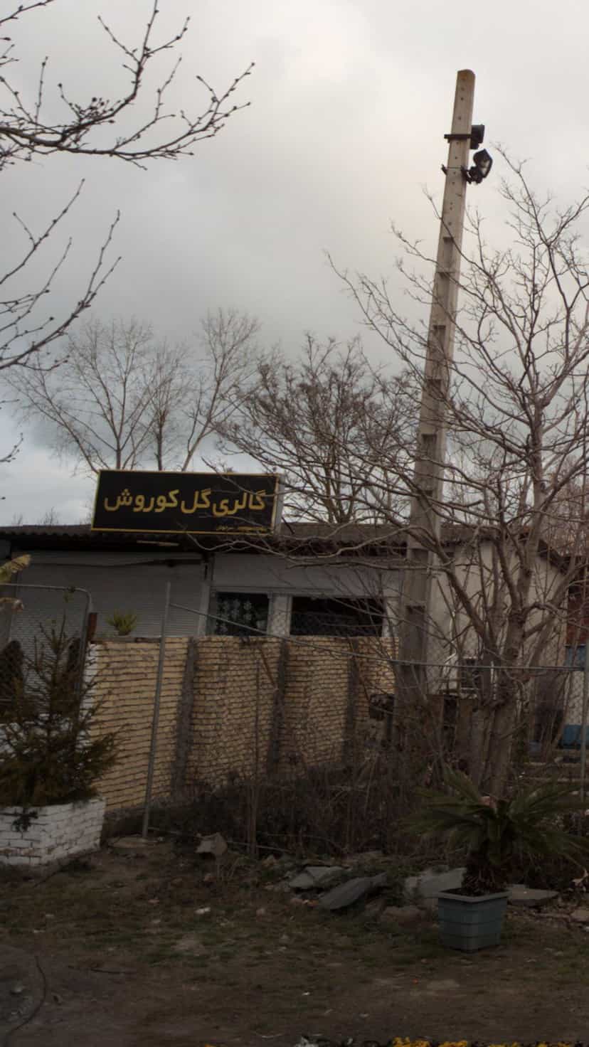 عکس گالری گل کوروش در بندر فریدونکنار فریدون‌کنار