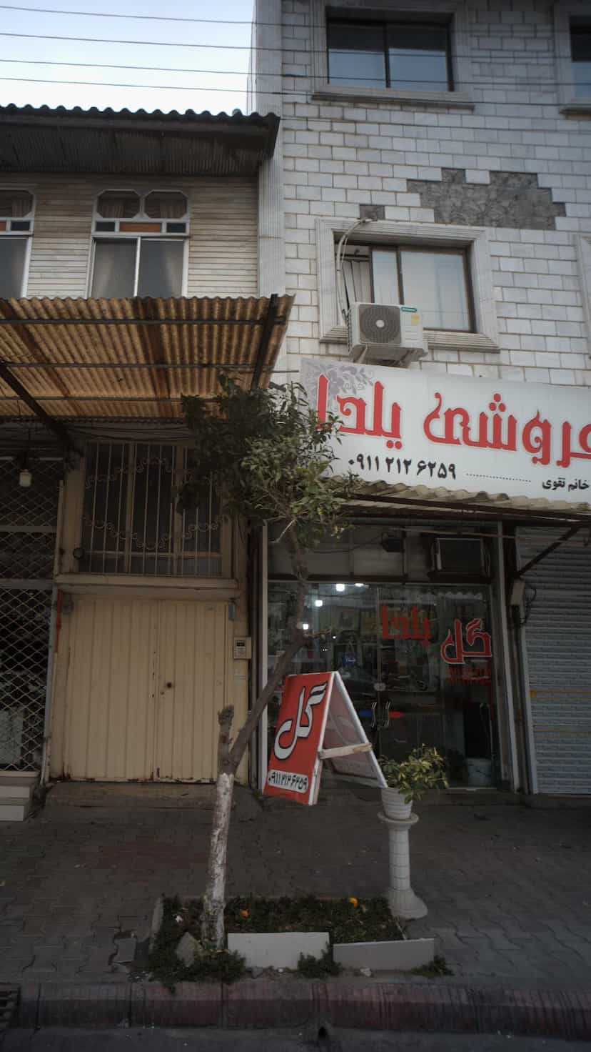 عکس گلفروشی یلدا کمربندی شمالی فریدون‌کنار