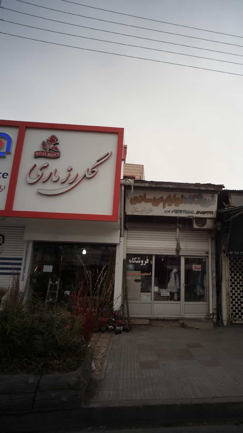 عکس فروشگاه گل رز ماری در ایزدی فریدون‌کنار