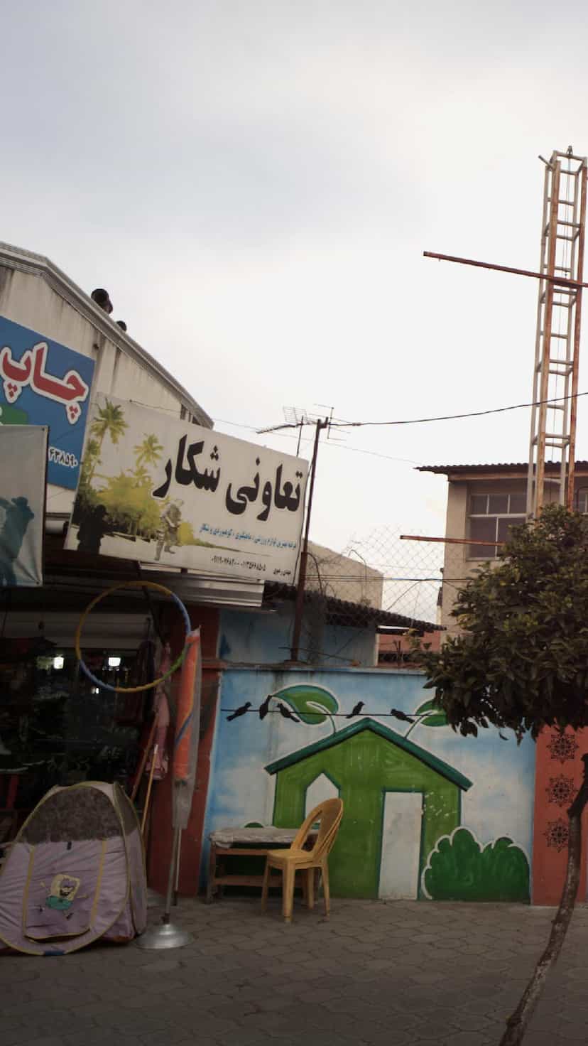 عکس تعاونی شکار در ایزدی فریدون‌کنار