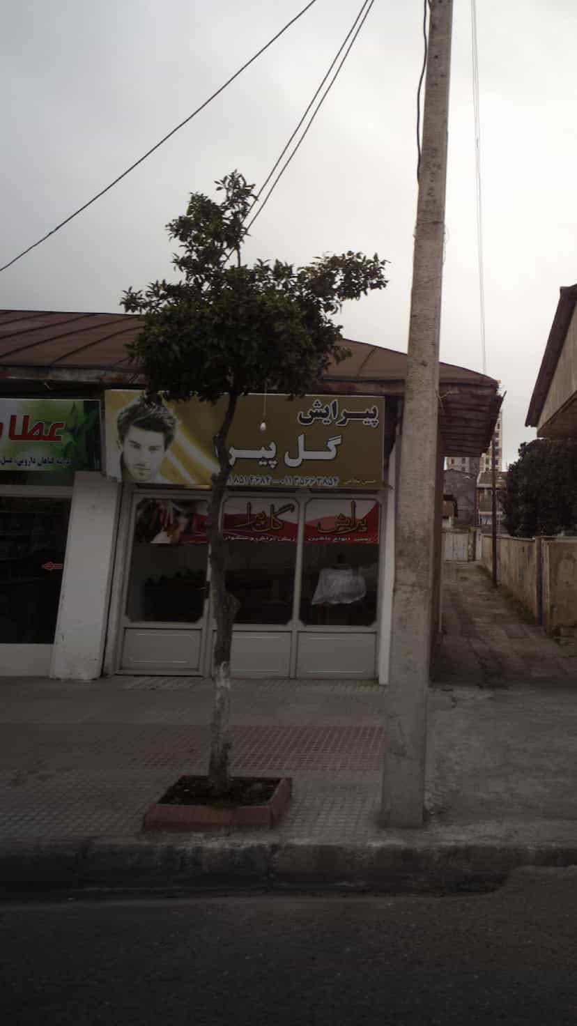 عکس پیرایش گل پیرا کمربندی شمالی فریدون‌کنار