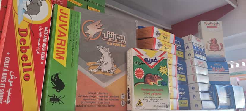 عکس داروخانه دامپزشکی دکتر فاطمی در شهر تربت جام