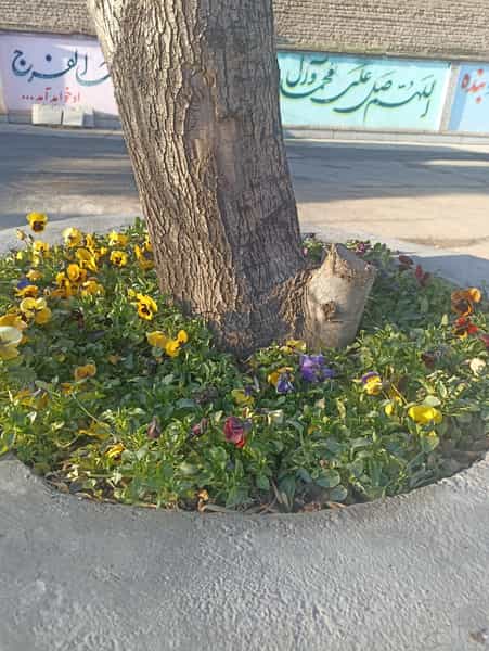 عکس دبیرستان علوم و معارف اسلامی صدرا در شهر نظرآباد