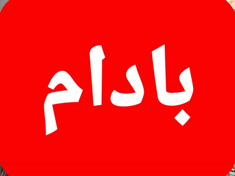 عکس فروشگاه برنج اشرفیه عرضه.عمده برنج بادام چای فروش کلی.خرده در جلالیه آستانه اشرفیه