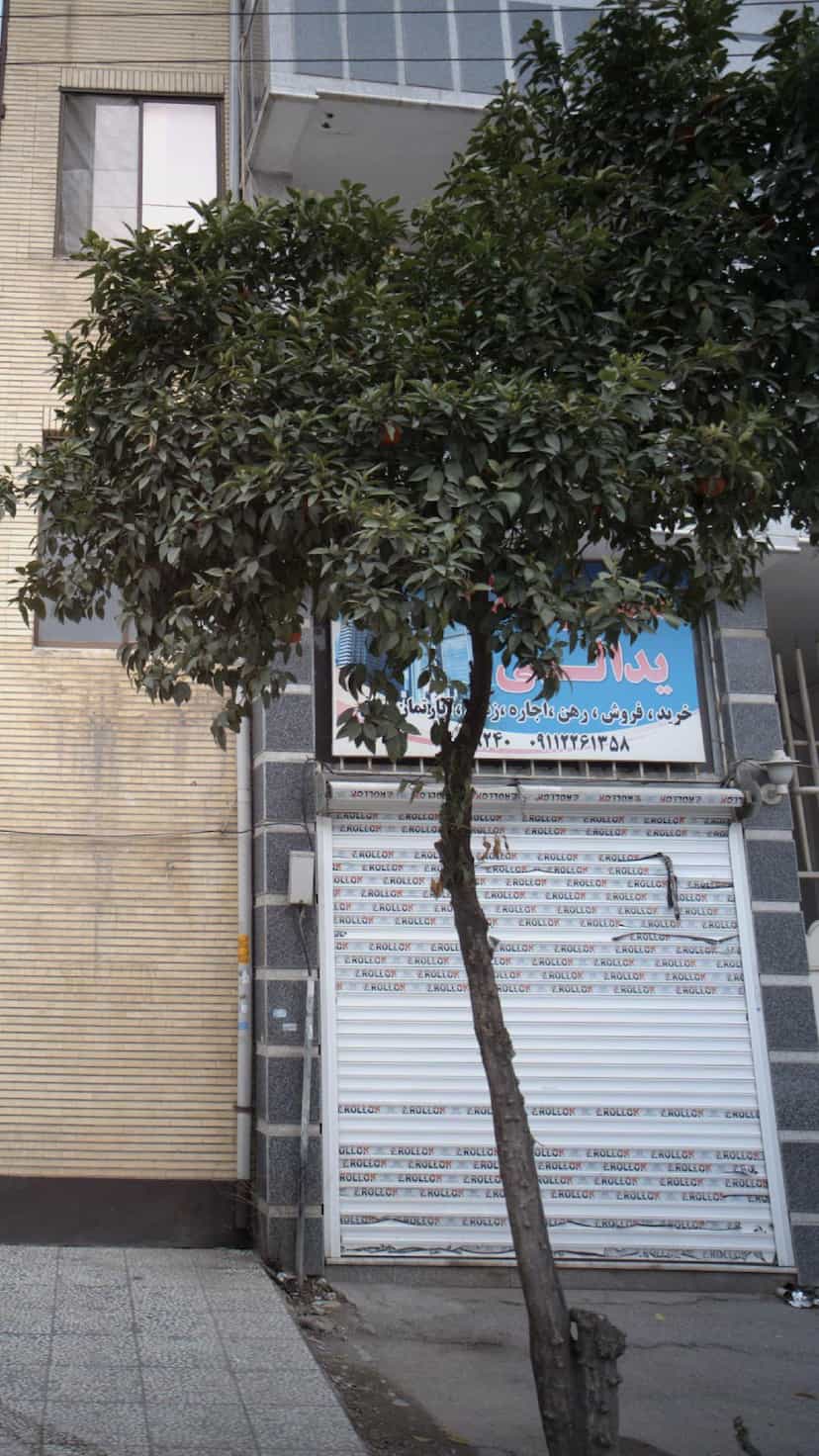 عکس مشاور املاک یدالهی در جویبار قائم شهر