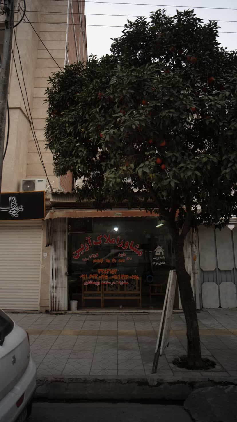 عکس مشاور املاک آرین در نشاط قائم شهر