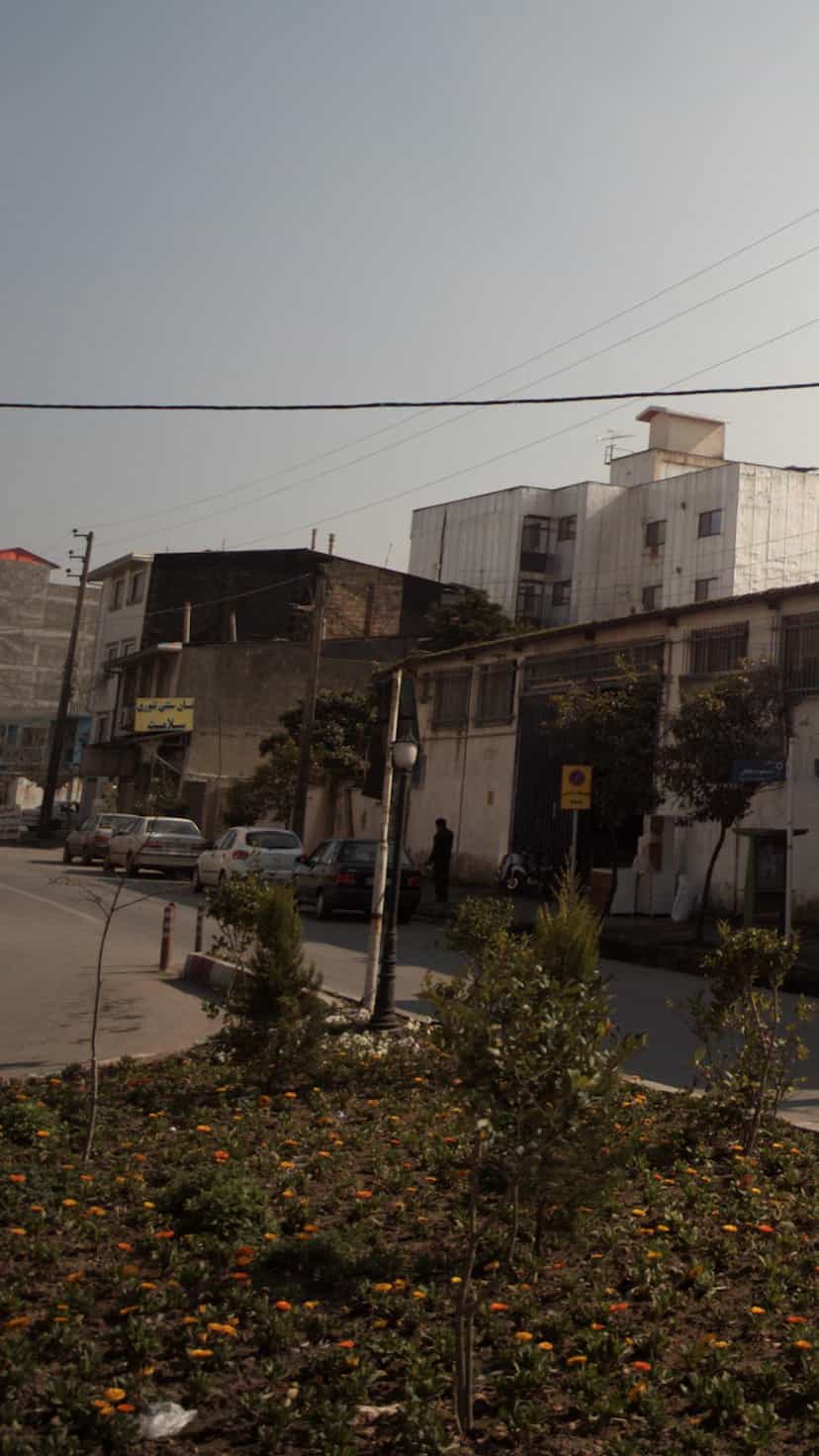 عکس نان سنتی تنوری سلامت در یادگار قائم شهر