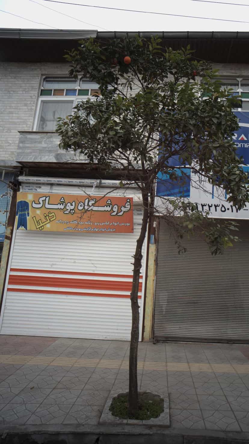 عکس فروشگاه پوشاک دنیا در آزادی قائم شهر